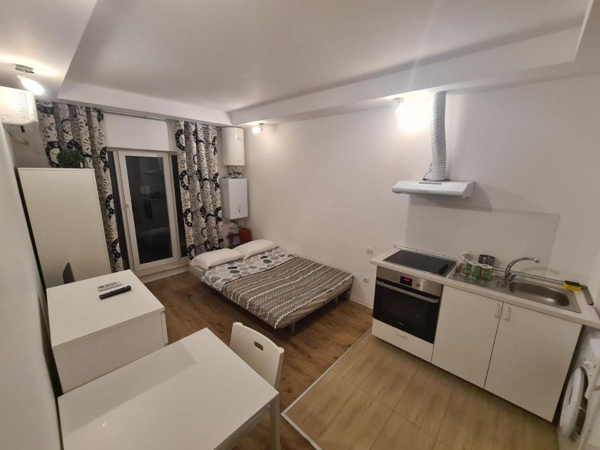 Cosmopolis Studio 1 Stefanestii de Jos 外观 照片